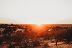 Nitro-Safaris-Kgalagadi-Day7
