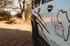 Nitro-Safaris-Lion-Hunt4